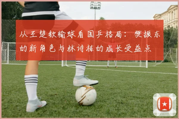 从王楚钦输球看国乒格局：樊振东的新角色与林诗栋的成长受益点